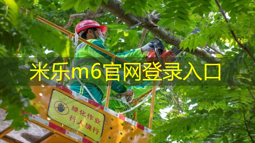 mile米乐m6官网：网球拍克重影响大吗_