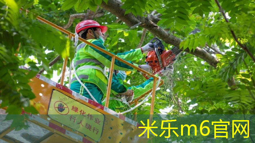 室内健身天梯尺寸