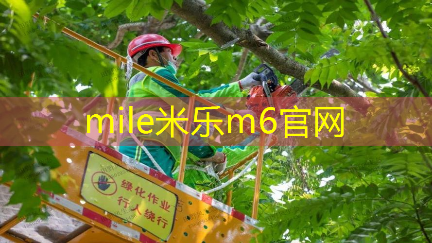 mile·米乐m6：迎战强手的终极武器：“篮球架大梁”助你出奇制胜！