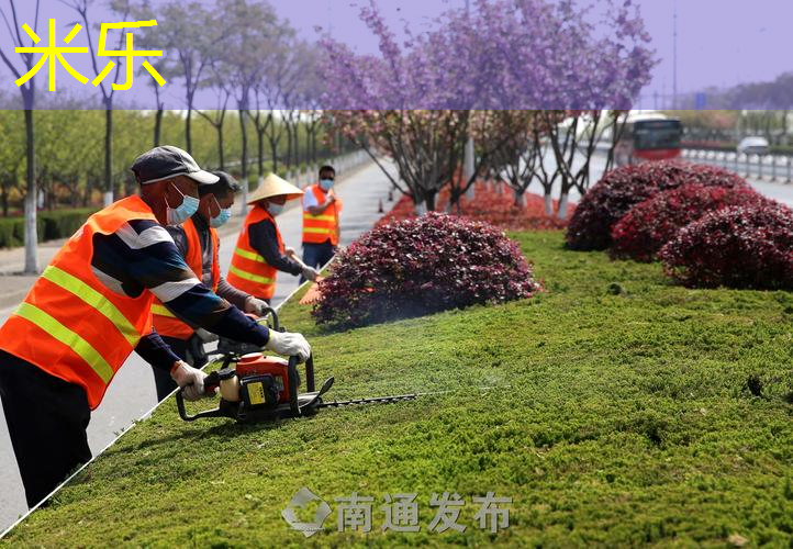 米乐m6官网：我们家的乒乓球台