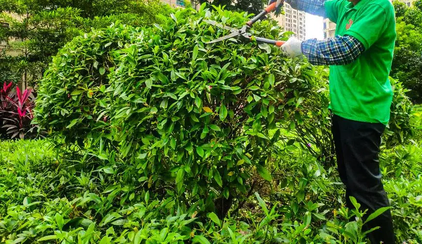 小腿力量训练篮球无器材