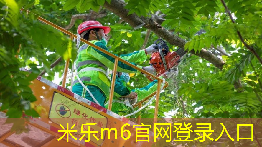 乒乓球台面端线和