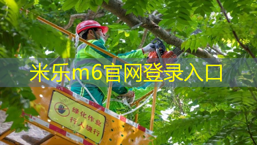 室内健身天梯尺寸