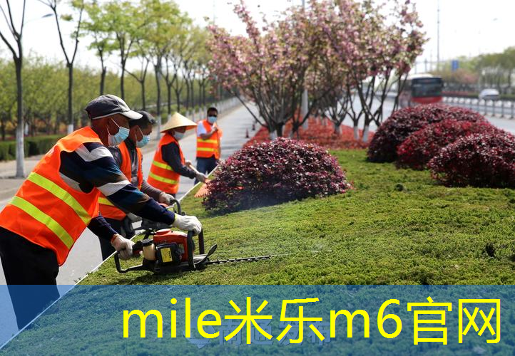 塑胶跑道材料助力城市公园和休闲空间的发展