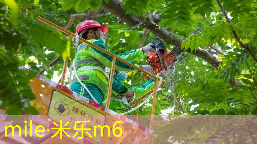 迎战强手的终极武器：“篮球架大梁”助你出奇制胜！