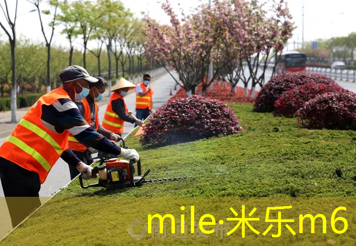 我们家的乒乓球台