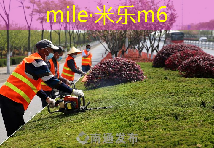 青春永驻，活力满满！揭秘室外体育健身器材给你带来的惊喜与欢乐！