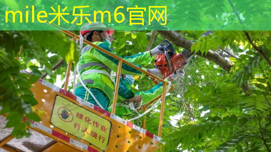 健身器材室内多用好不好